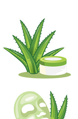 人參護(hù)膚品矢量素材 化妝品視覺(jué)設(shè)計(jì)的魅力與創(chuàng)新